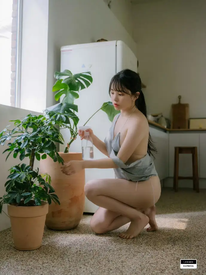 倒霉熊视频下载数据图表