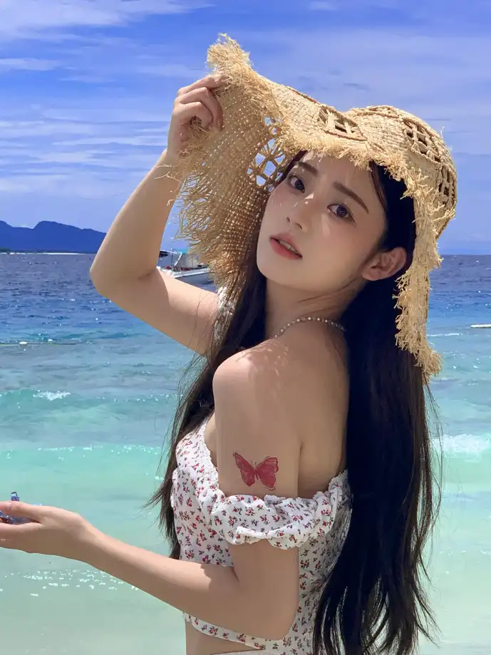 钢琴曲谱下载统计